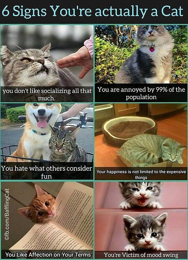 Well, I do fit in there pretty well. I just figured I'm a hermit.