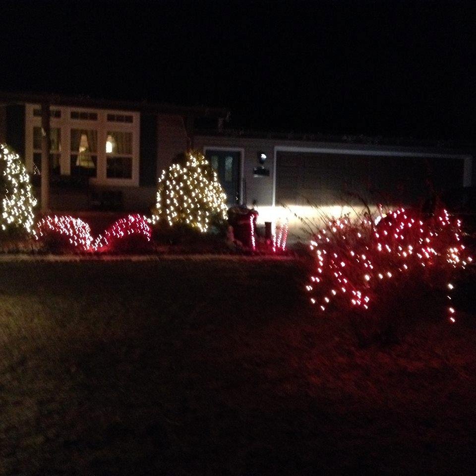Front yard..