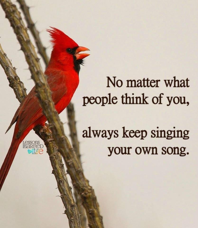 Charles Iliff's album, Timeline Photos