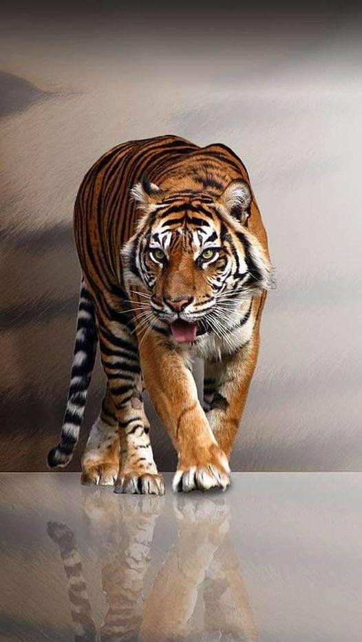 Rick Gregg's album, Timeline Photos