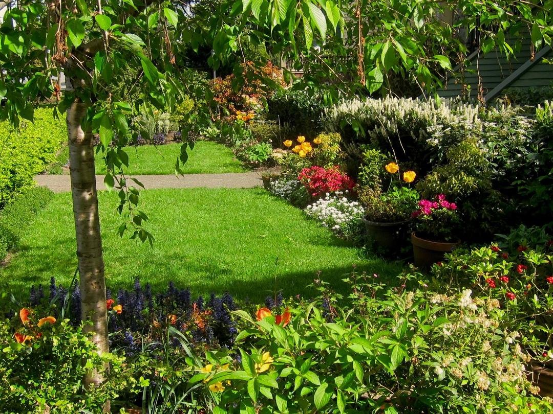 Our front yard April 17, 2016. Karen's creation.