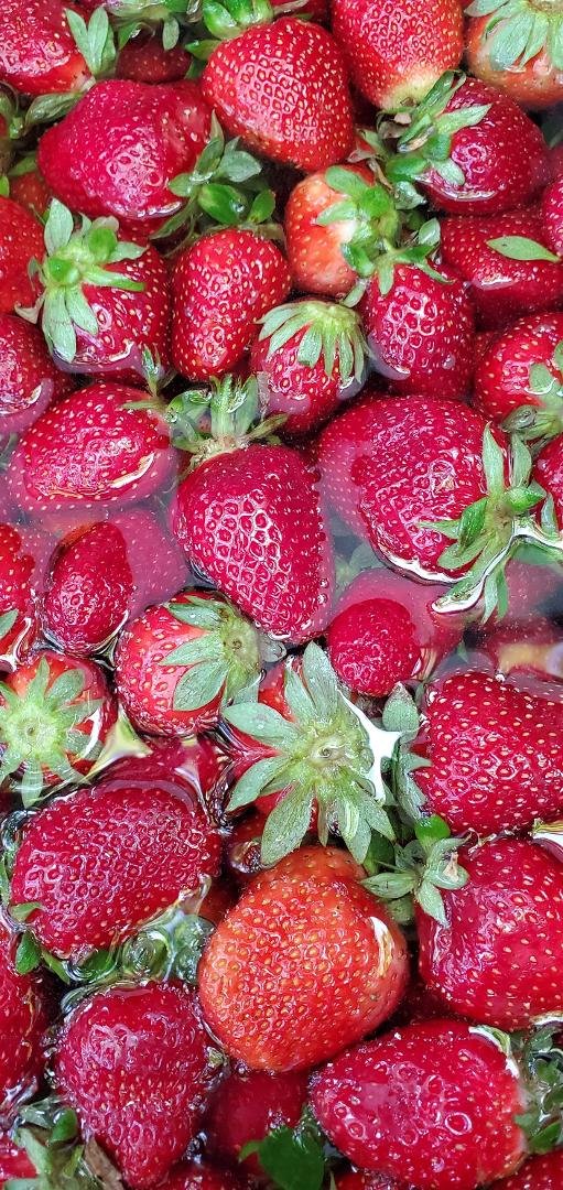 YUM! strawberries 🍓
