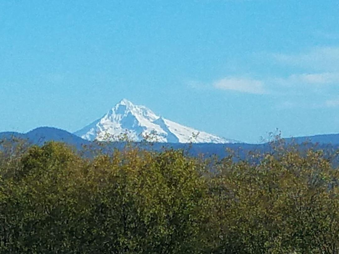 Mt. Hood