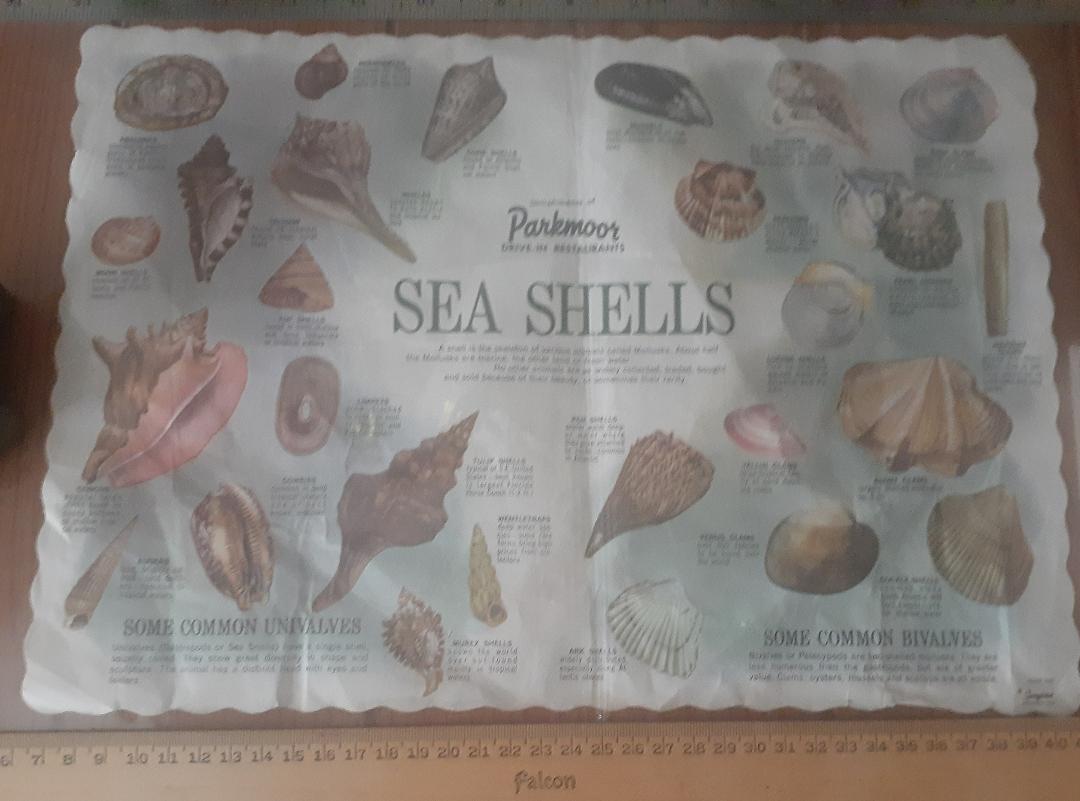This is a Parkmoor placemat, if it looks familiar your OLD!