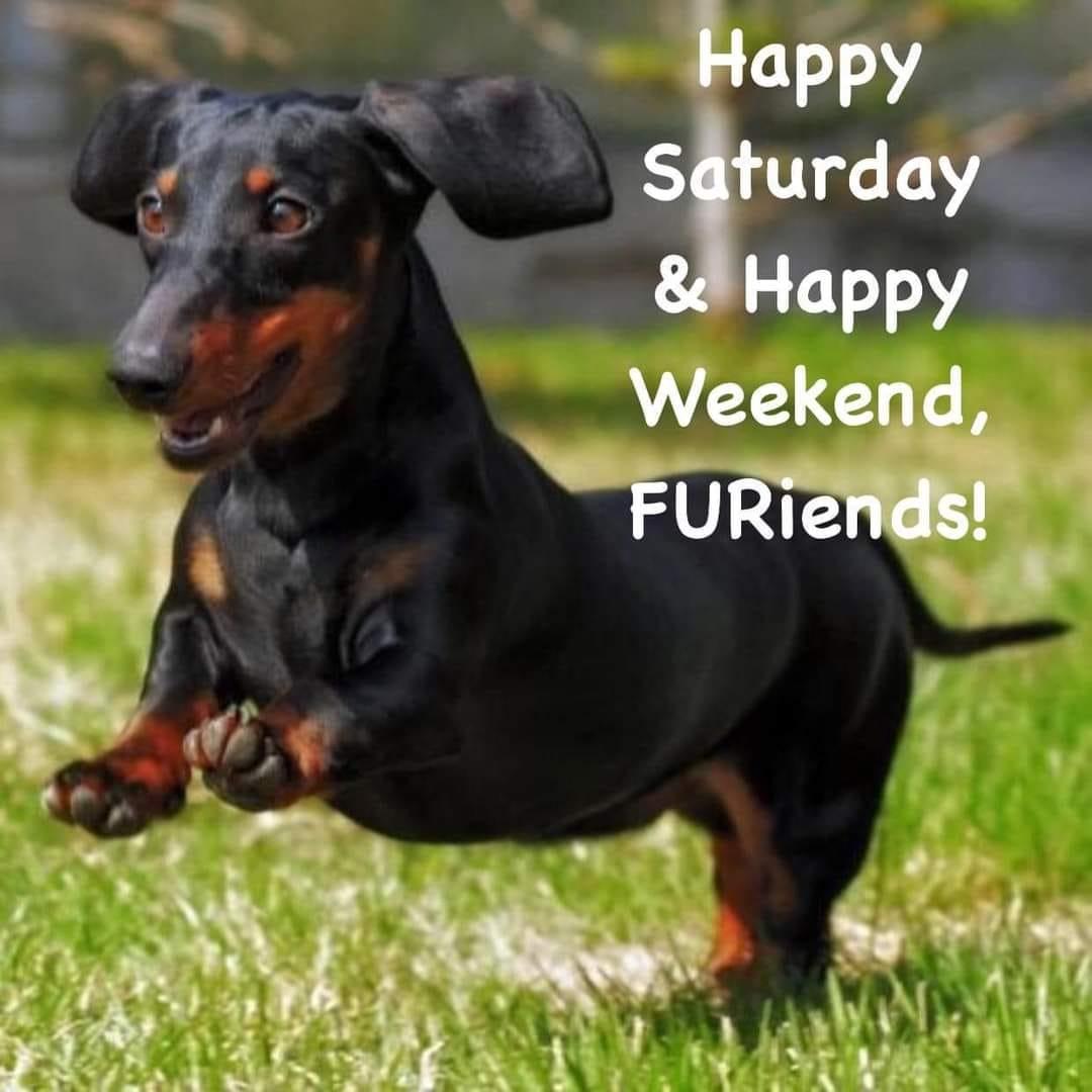 Dawne Simpson's album, Timeline photos
