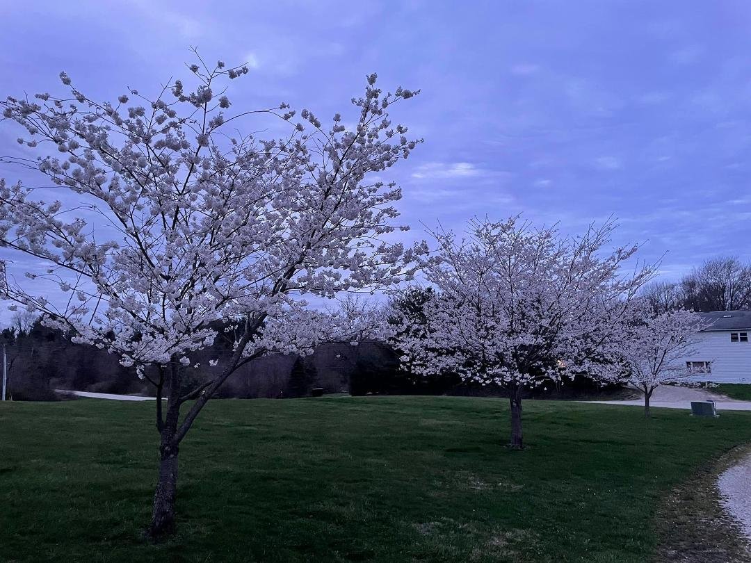 It’s Spring!!!