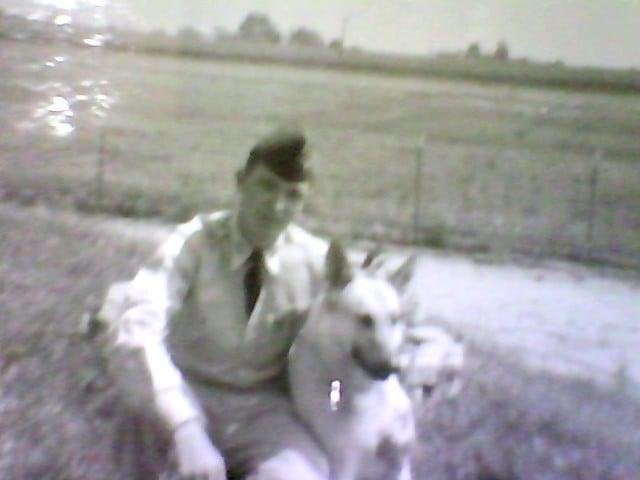 Military Police K-9 ....1961/63 👍