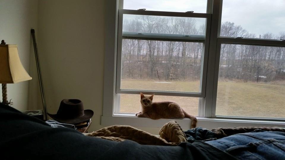 Is it Spring yet?