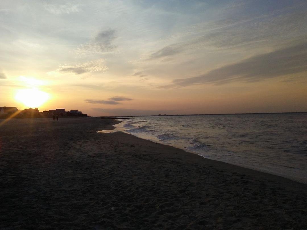 I love the beach.