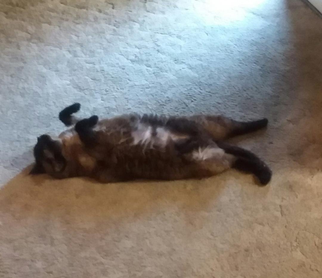 No she's not dead, just VERY relaxed !