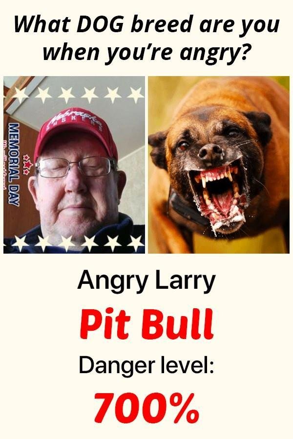 Larry Laughlin's album, Timeline photos
