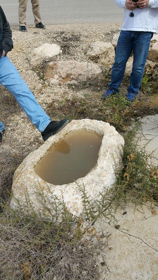 Trough gor Animals of Caravans Israel