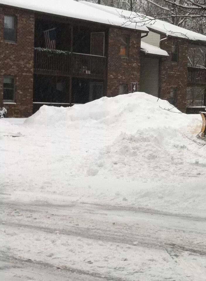 Gee look what they got in Albany NY today... Sorry Bonnie had to share this