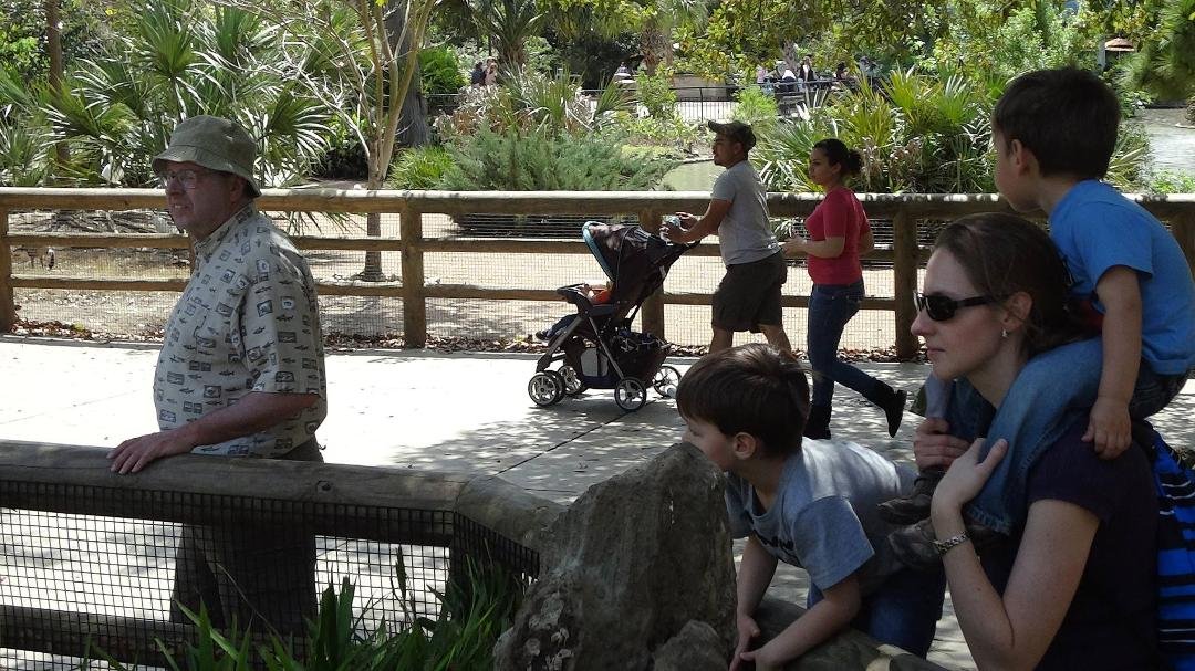 Houston Zoo with Grandpa & Grandma, Melissa & the boys