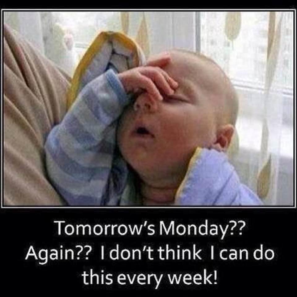 Ross Marshall's album, Timeline Photos