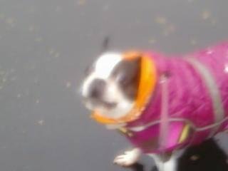 My baby when we were in the rain,can you tell not a big rain fan