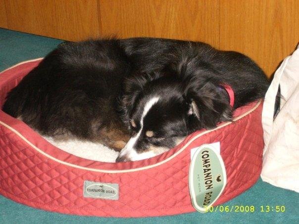 This is Noel in her new birthday bed.