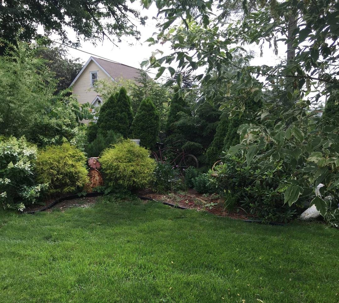 Sally's serenity garden