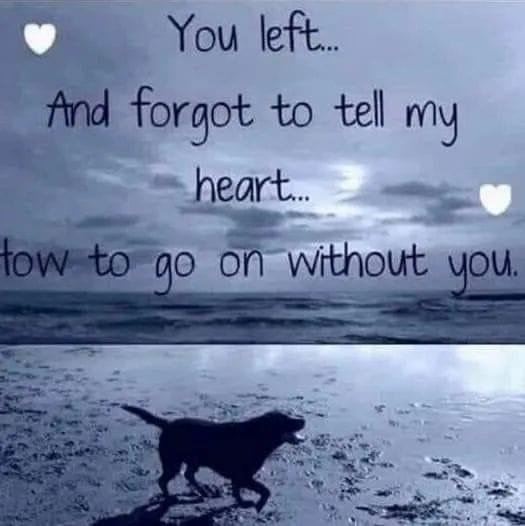 To MAX AN NIBBLES Missing You.