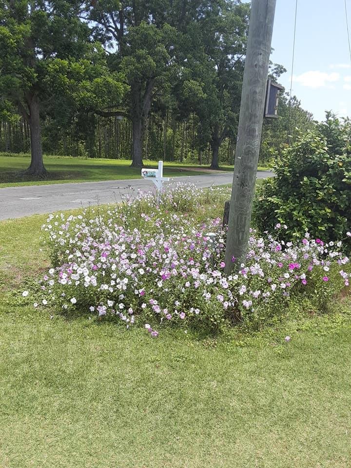 Raymond DeBarry's album, Timeline Photos