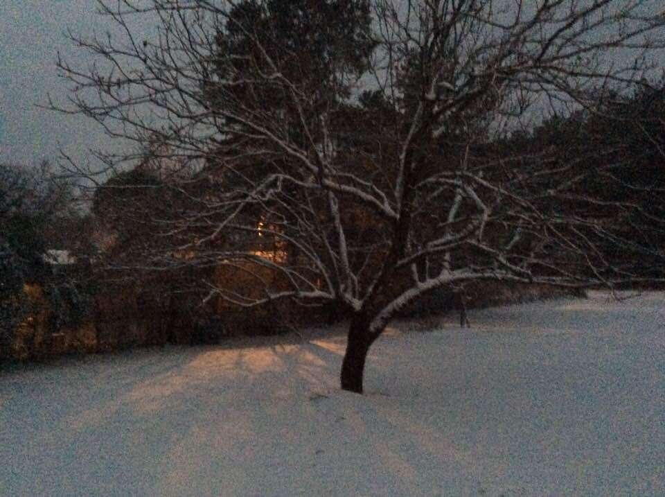 Snow in the backyard. 6:00 pm on 1-10-2021