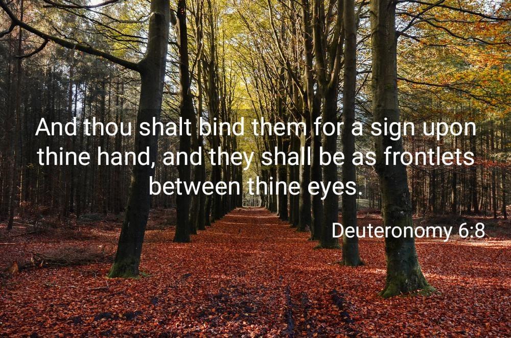 Creator has placed a "mark" on HIS people who believe the "whole Word of YHVH OUR CREATOR.