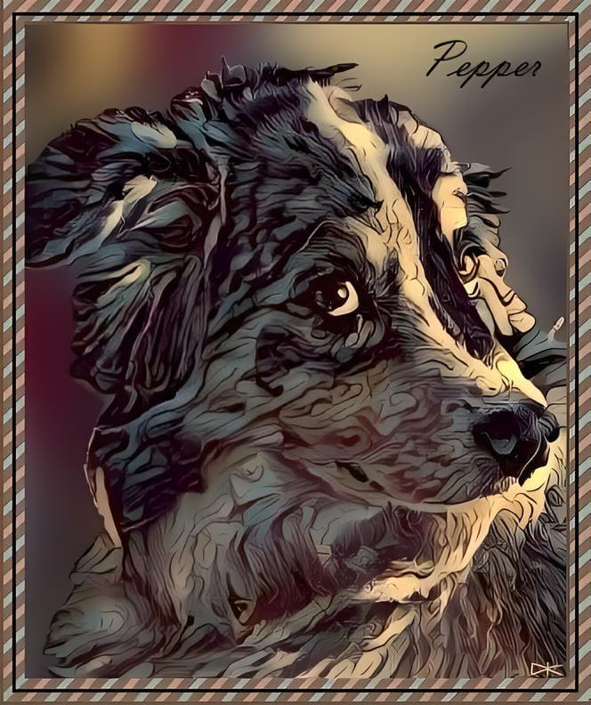 Our dear Pepper...we miss her.