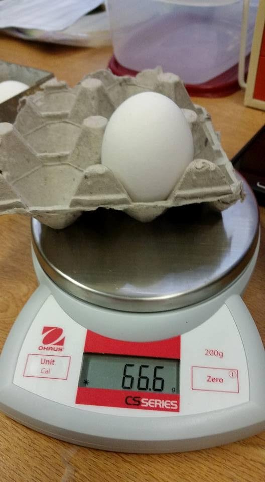 A deviled egg . . .