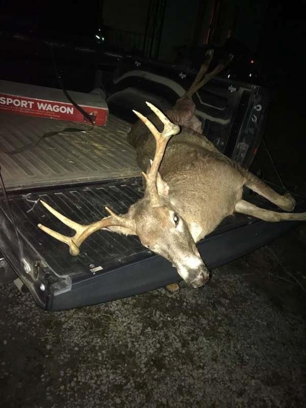 my buck. jan. 7 2019. second largest I ever got. largest with black powder.