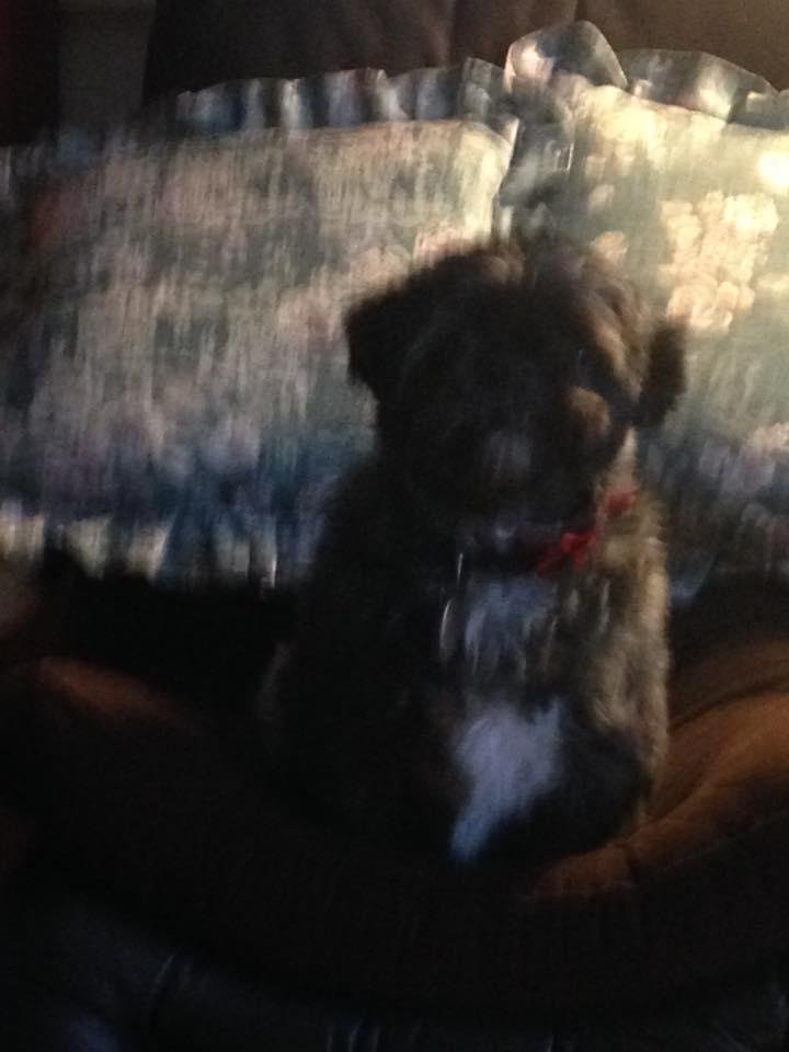 Mark Rotin's album, Mobile Uploads