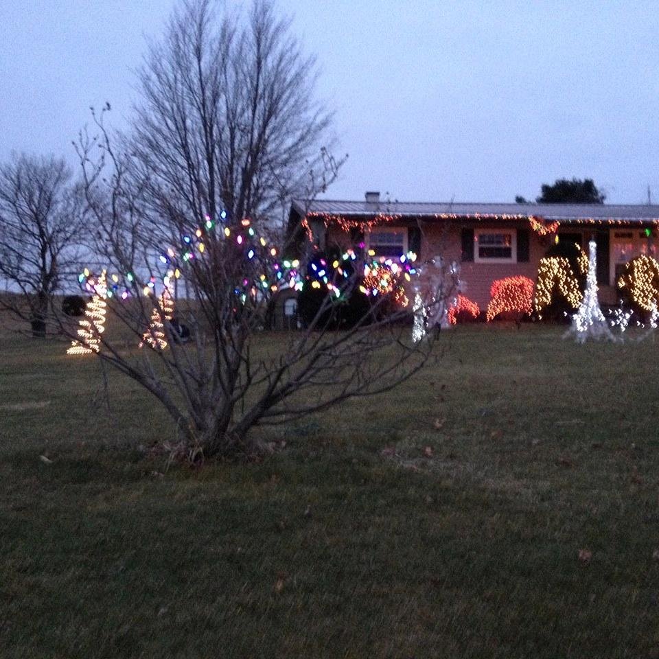 Front yard..