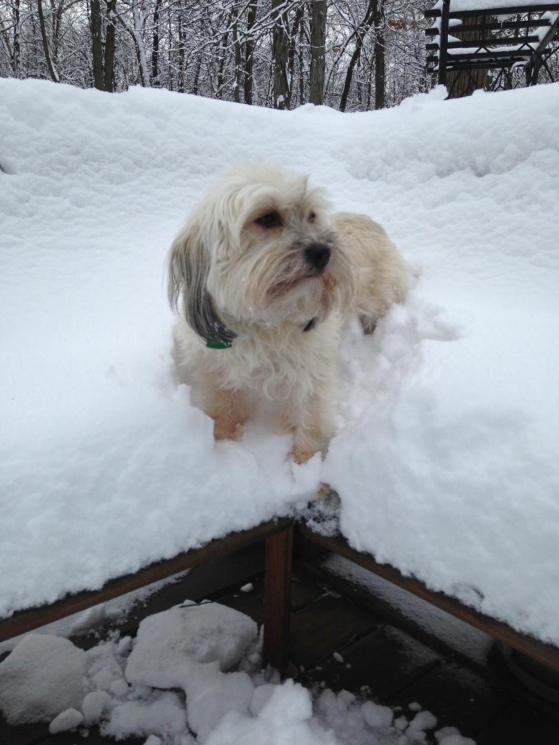 Not to be out done by Snoopy