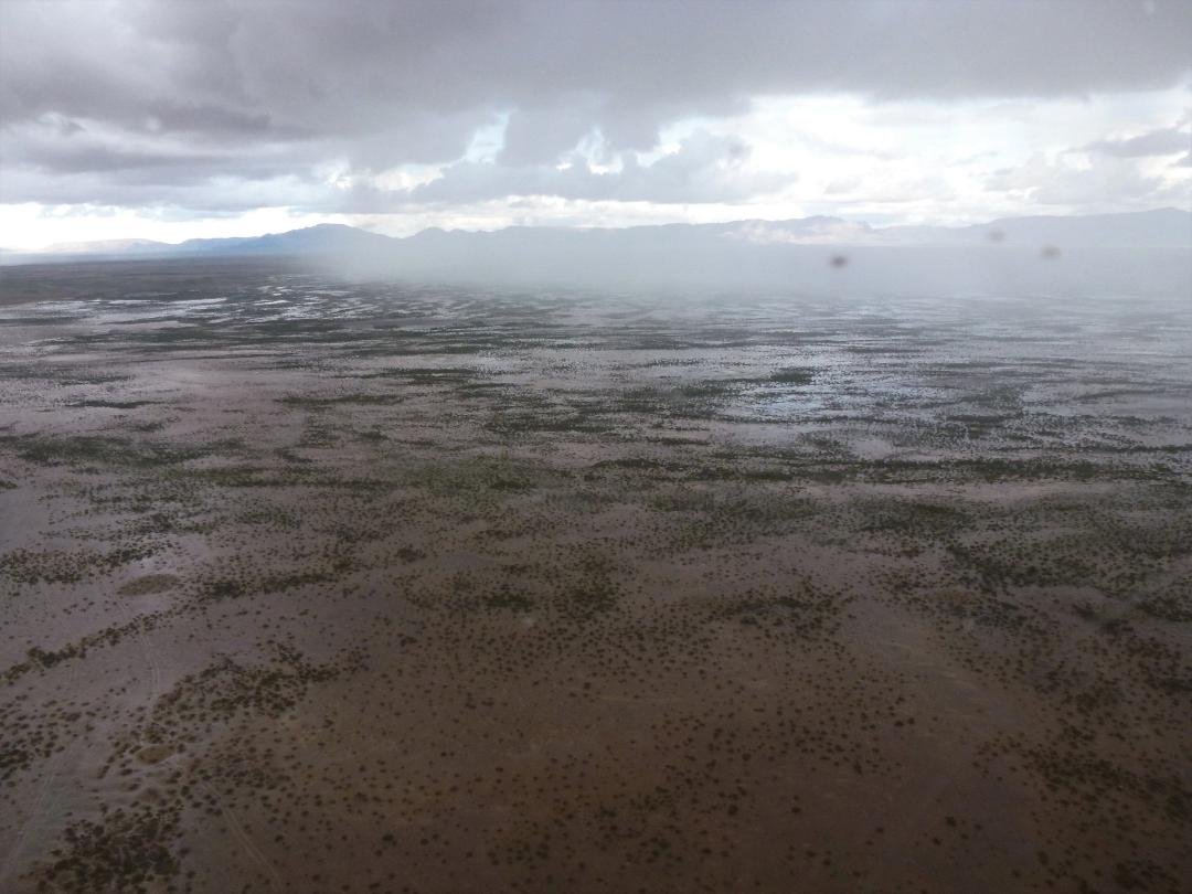 Winter shower out in the Growler Valley. Lots of standing water.