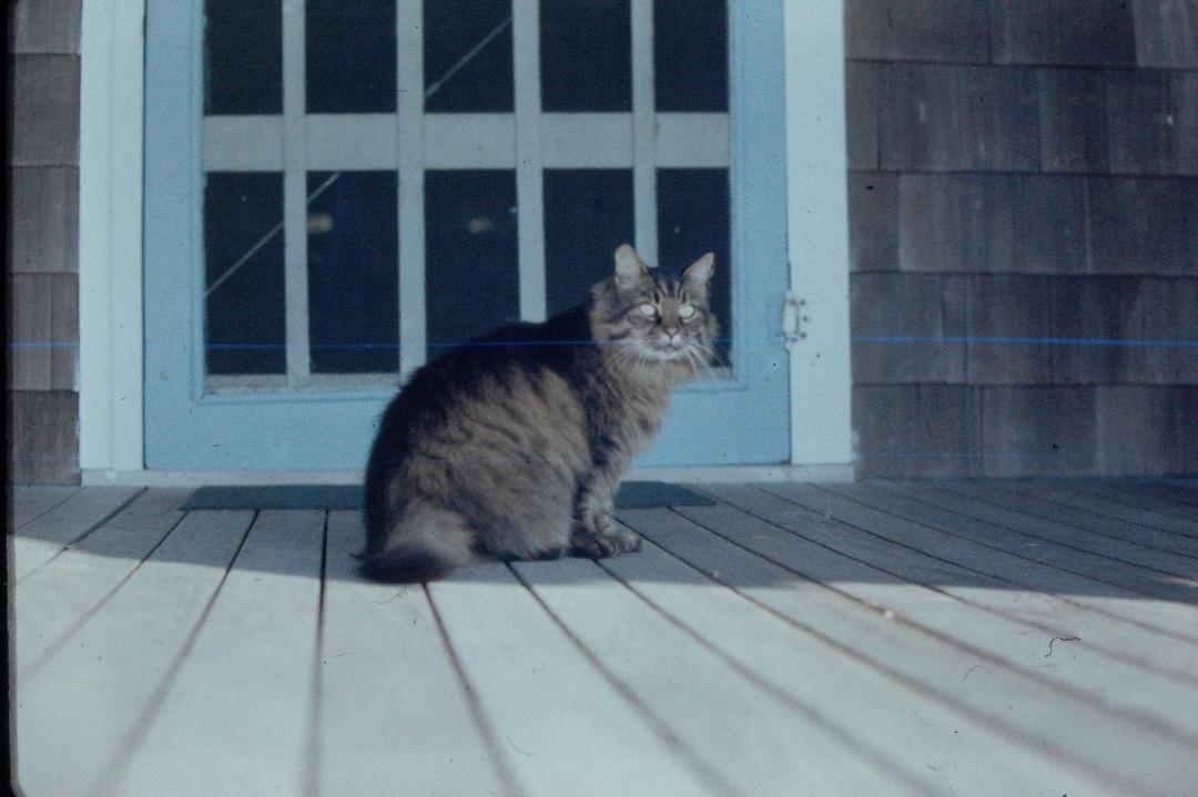Charles Tupper's album, Mobile uploads