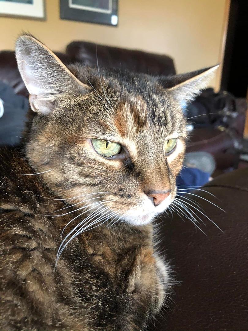 Shelby passed away tonight, she died in Jim’s arms. She was 17.
