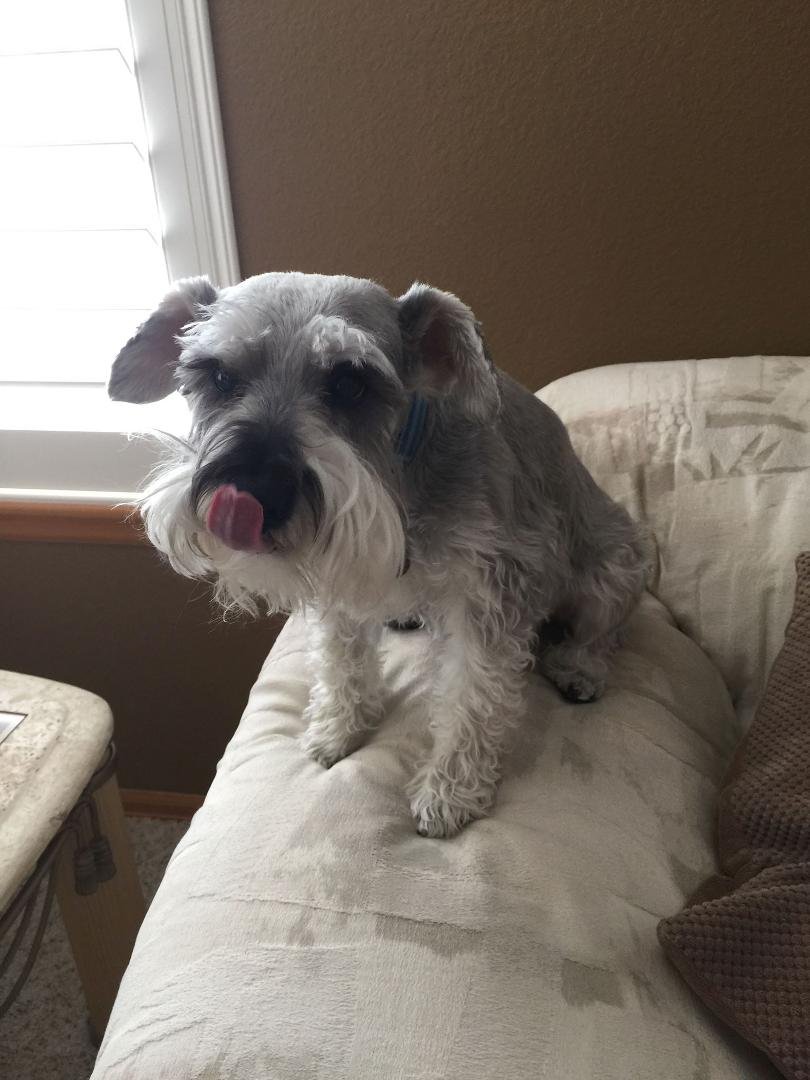 Today is National Dog Day! Here's mine.