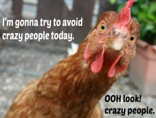Jacki Russell's album, Timeline Photos