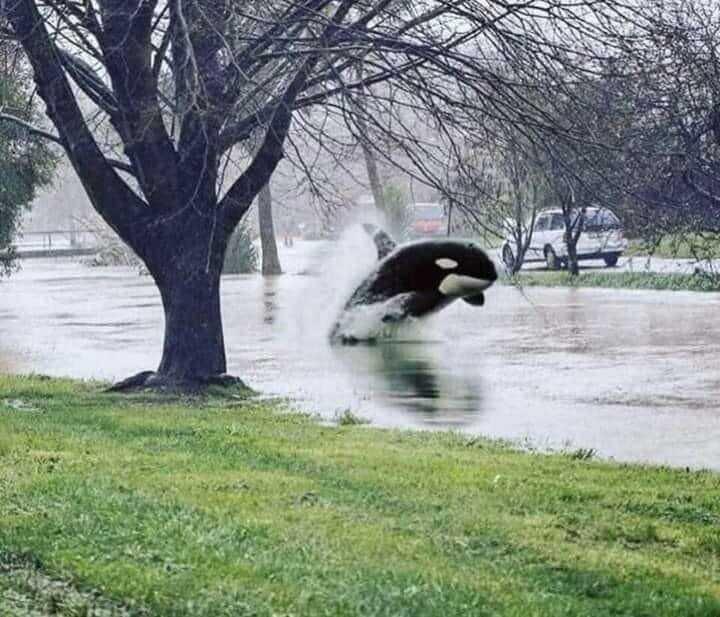 Rained for 48 hours.
Driving conditions hazardous in South Florida