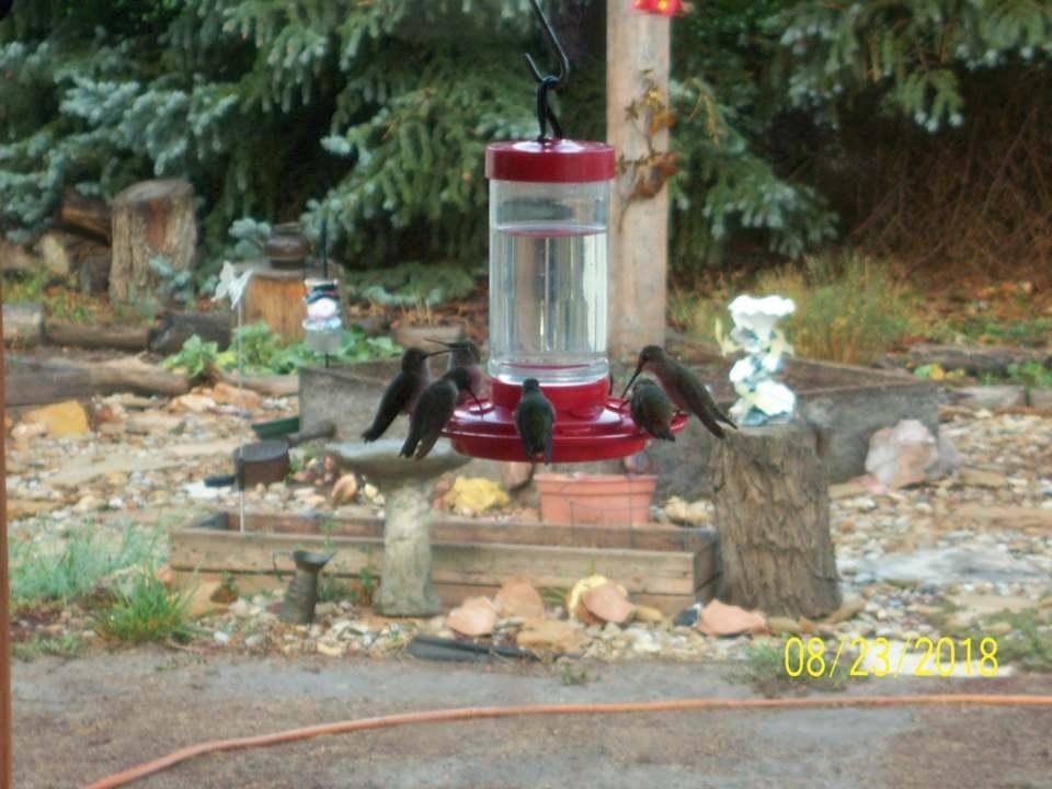 feeding time.