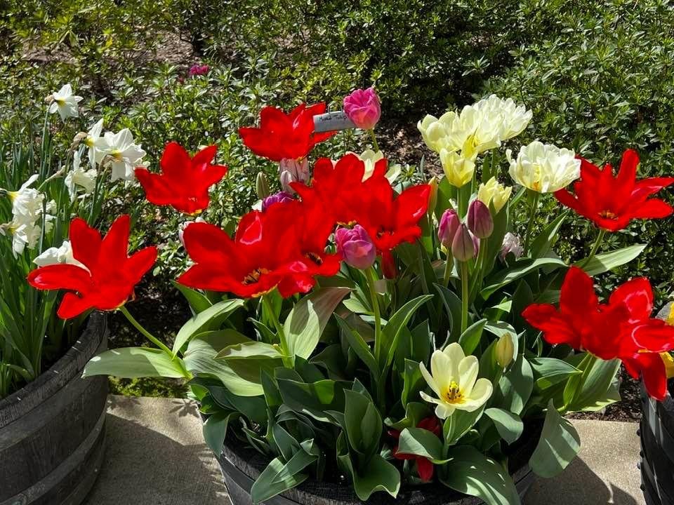 Richard (Rick) Gerhardt's album, Timeline photos