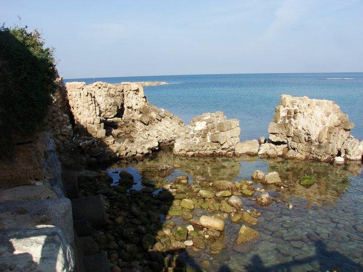 Michael Wolfes' album, Israel trip