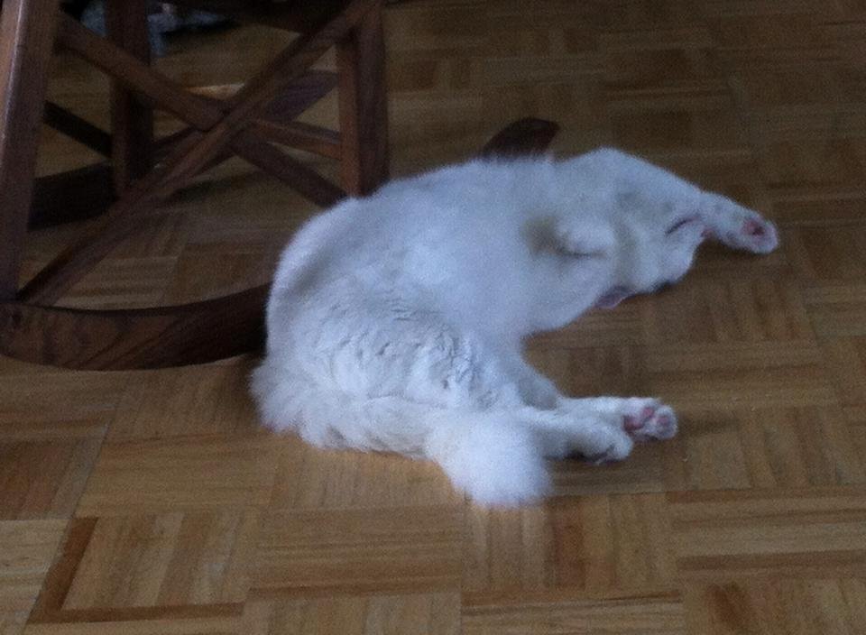 Wubbzy is totally relaxed!