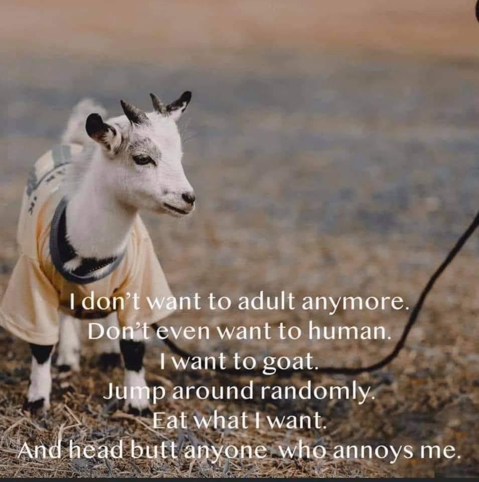 Wanda Bentley's album, Timeline Photos