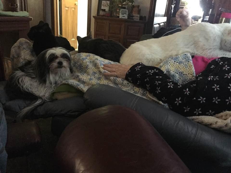 Dan Moore, Jr.'s album, Timeline Photos