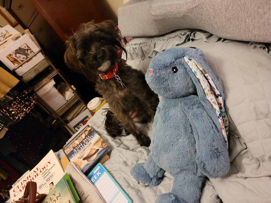 Happy National Puppy Day!