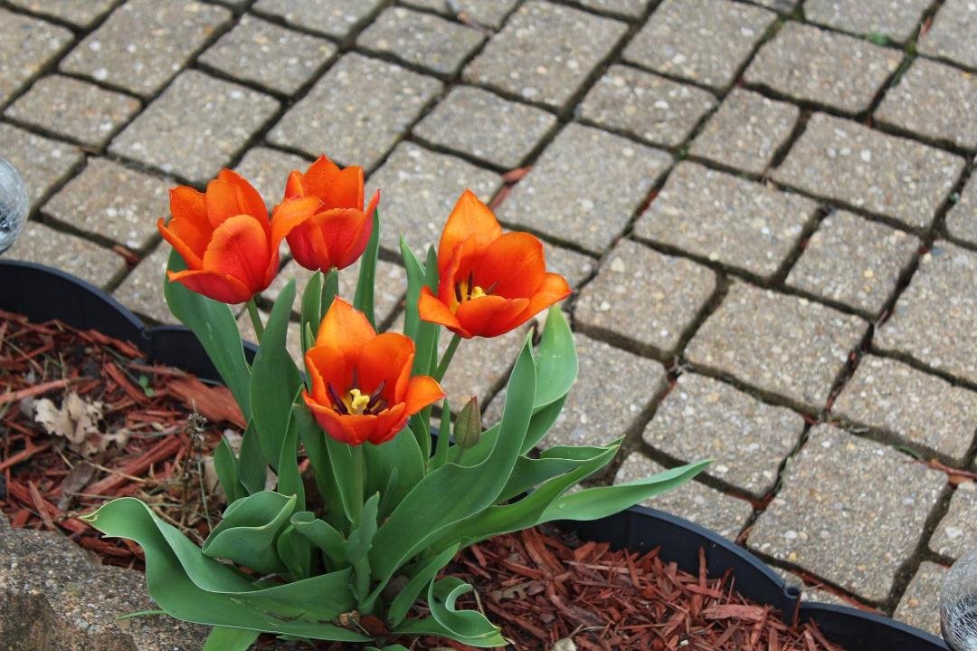 cindy gardner's album, Timeline photos