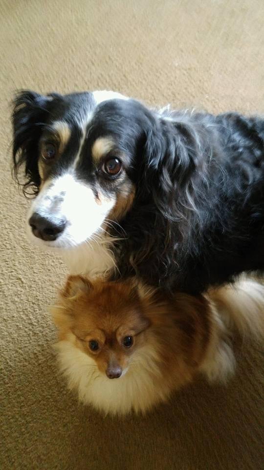 Our little girls