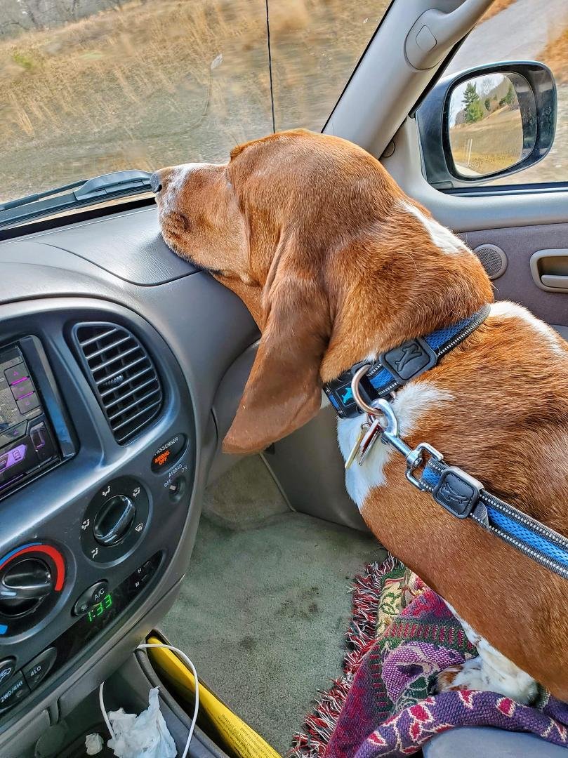 Otis says, "It's 10 minutes later and I'm sending the message to my Dad that I'm really tired of waiting".