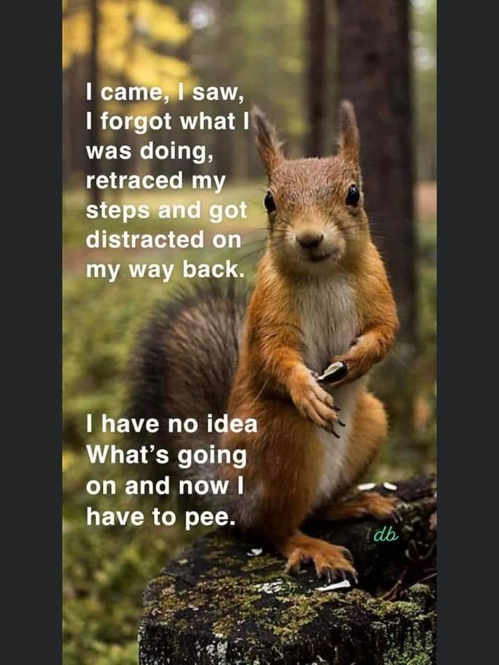 I need this on a t-shirt!