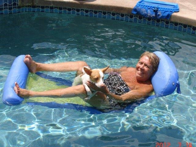My bride teaching our dog to swim